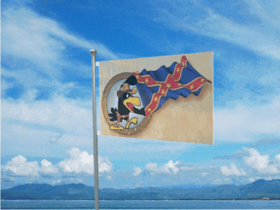 Nationals Flag